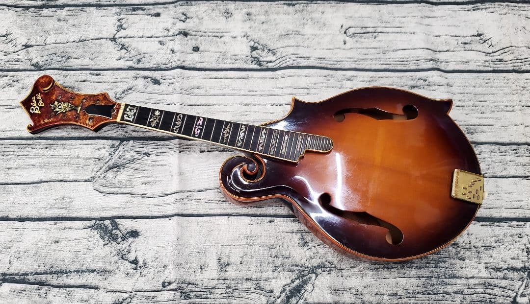 BLUE BELL ブルーベル F-10 フラットマンドリン