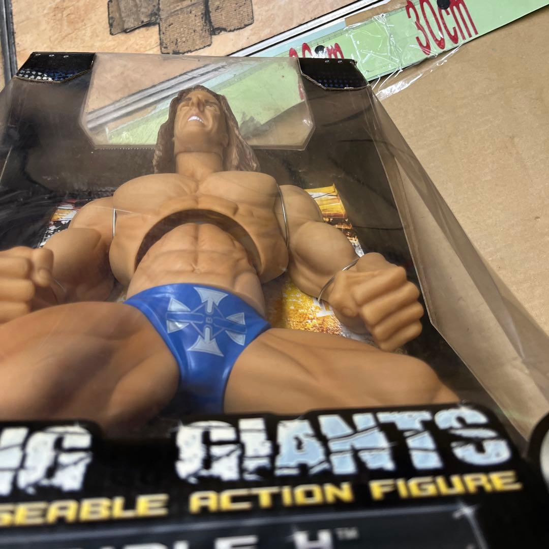 WWE WWF トリプルH フィギュア Ring Giants Series