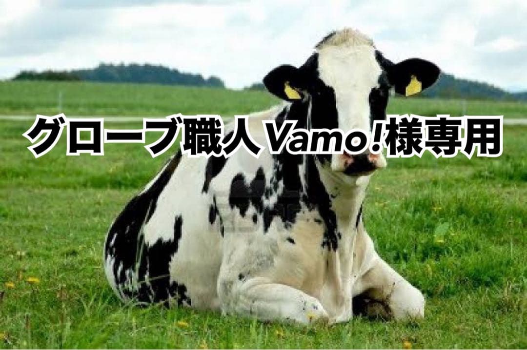 黒芯白8、キャメル10、タン濃10、ダークブラウン10