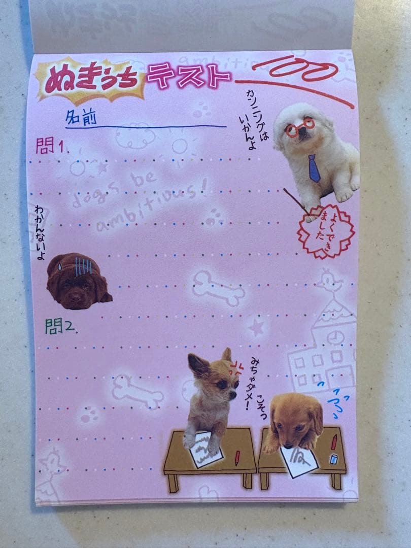 サンエックス　わんこ学級新聞　レトロ　平成　メモ帳　メモ　犬　平成女児