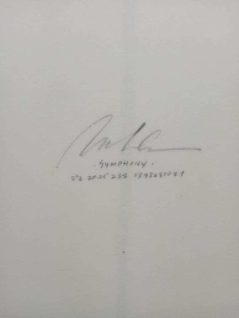 album サーフボード　Symphony　シモンズ　アルバムサーフボード