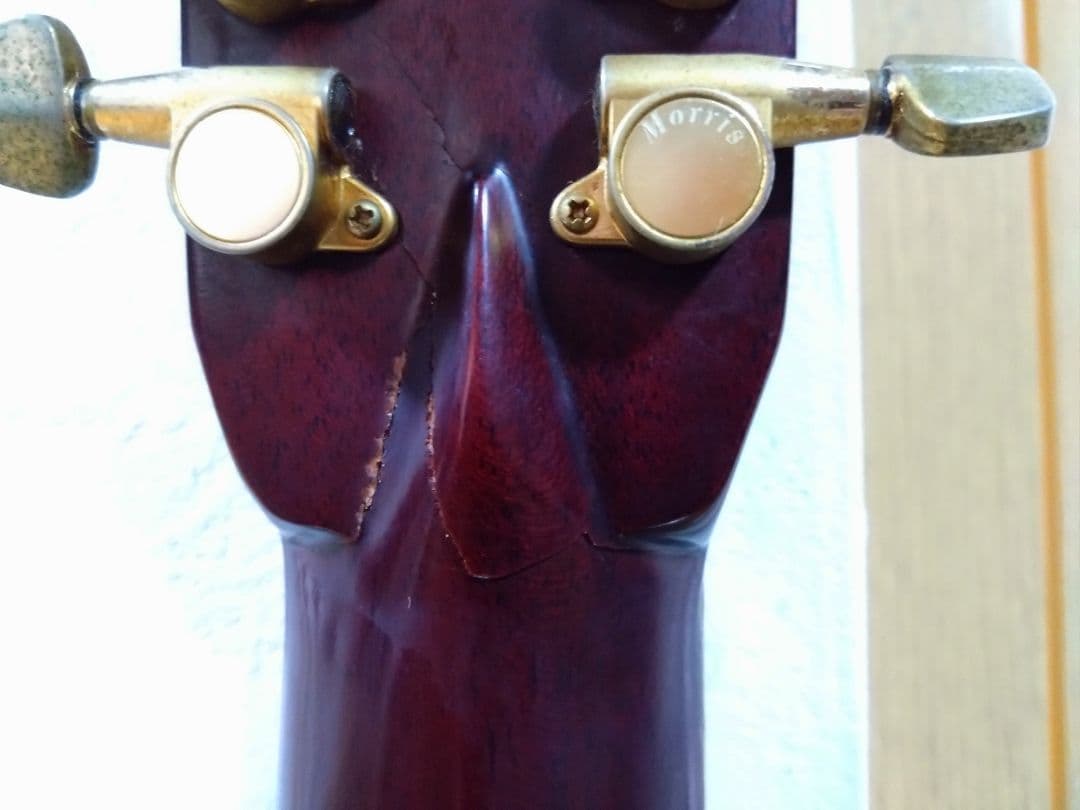 MORRIS B-100 12弦アコースティックギター