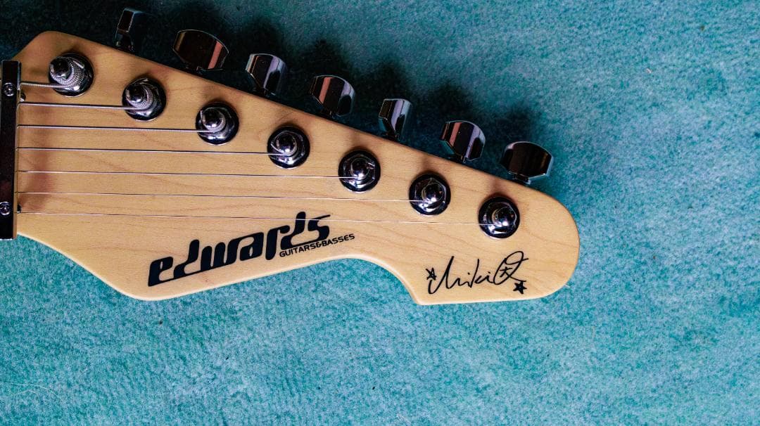 [藤岡幹大モデル] 美品未使用 EDWARDS E-SN7-194MF