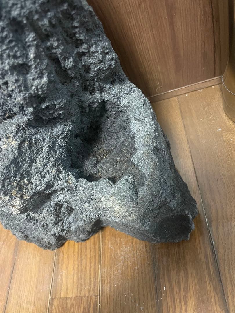 ADA 雲山石　特大サイズ？