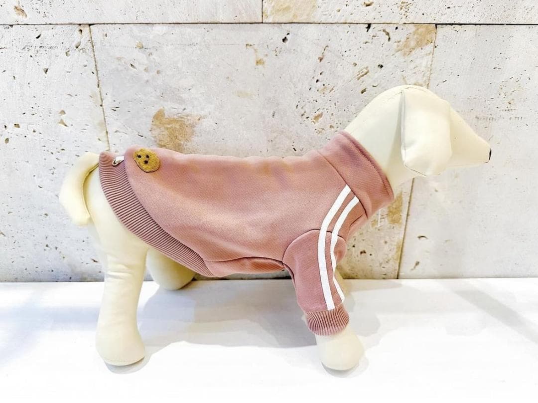 DENIM ROSE ワッペンジャージジャケット