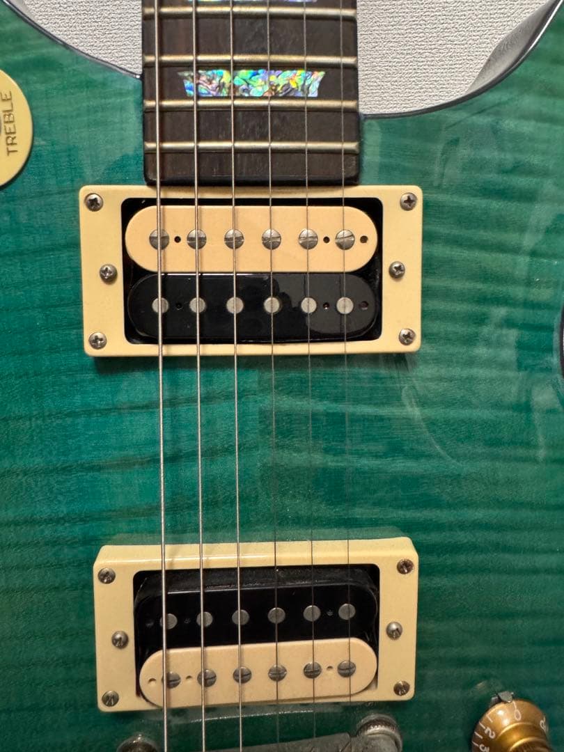 Epiphone Tak Matsumoto DC アクアブルー
