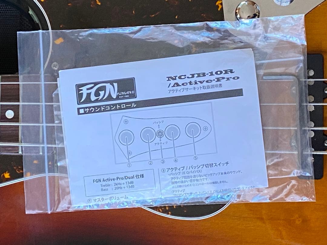 FUJIGEN NCJB-10R/Active-Pro ジャズベースタイプ