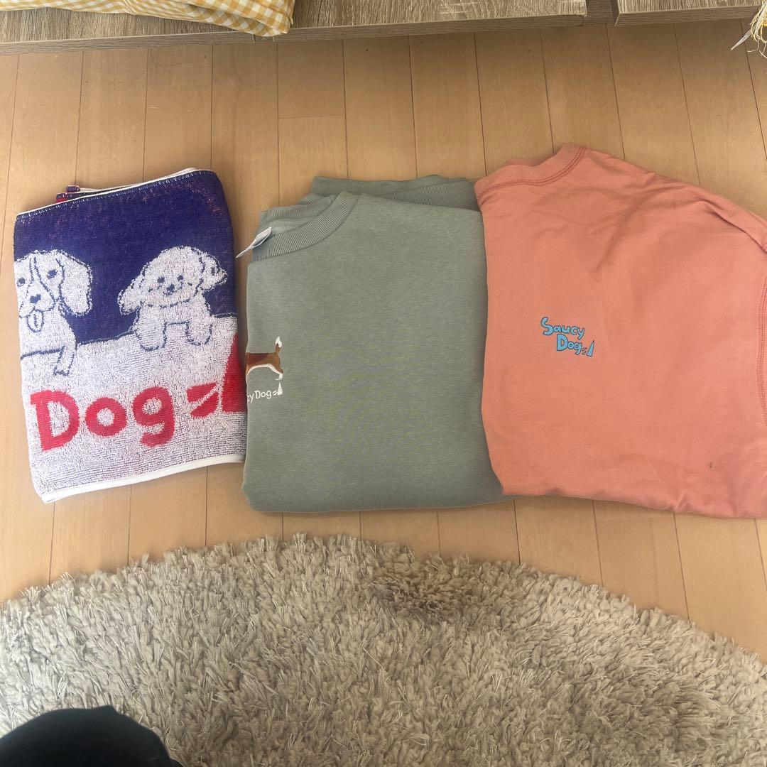 saucy dog タオル、パーカー、ロンT