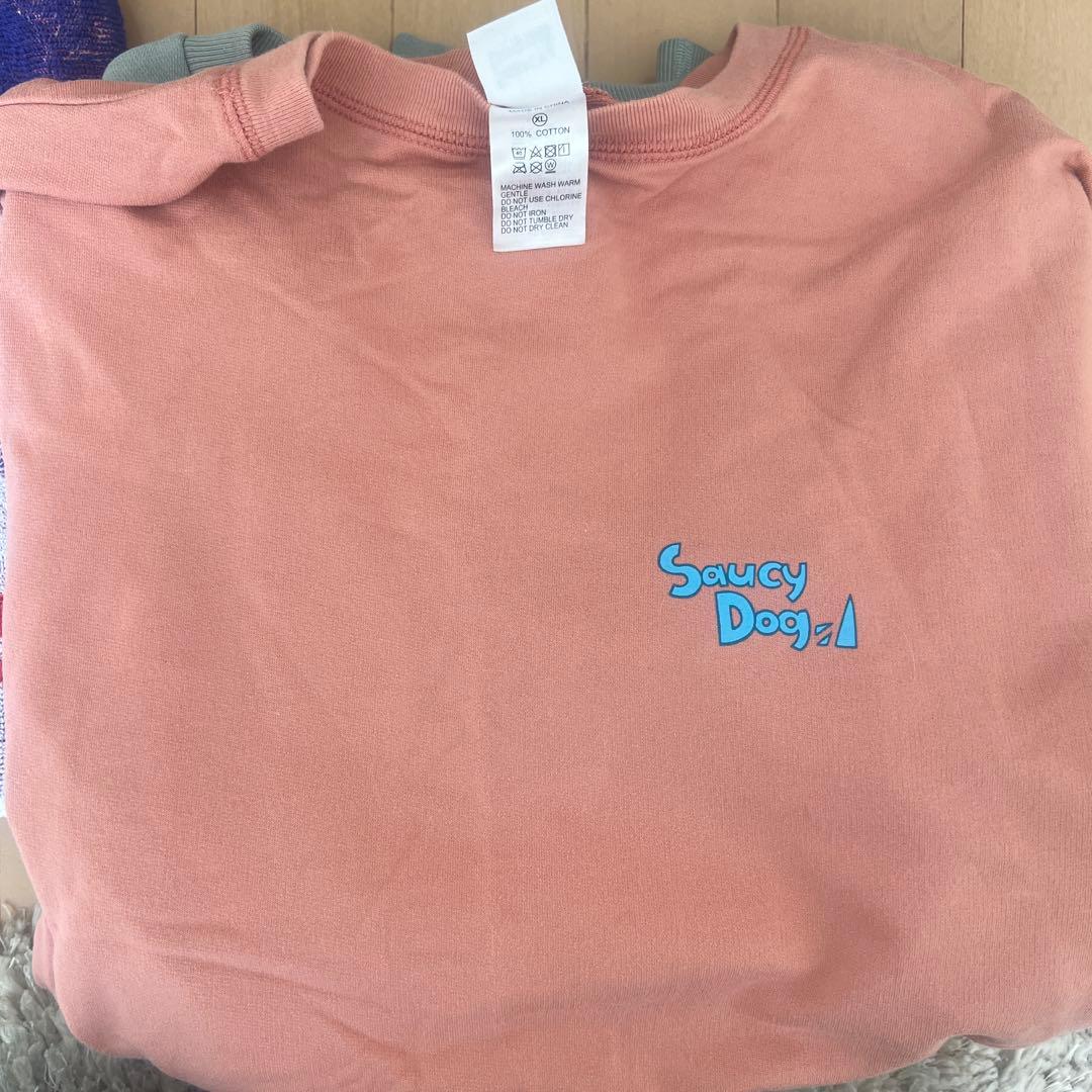 saucy dog タオル、パーカー、ロンT