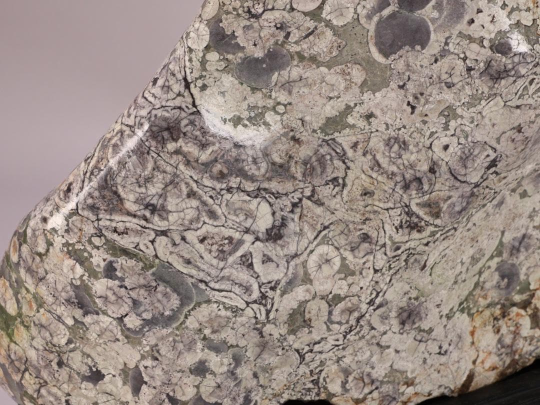 BK216 天然石　鑑賞石　梅花石　花紋石 菊花石 原石 自然石 鉱物 置物