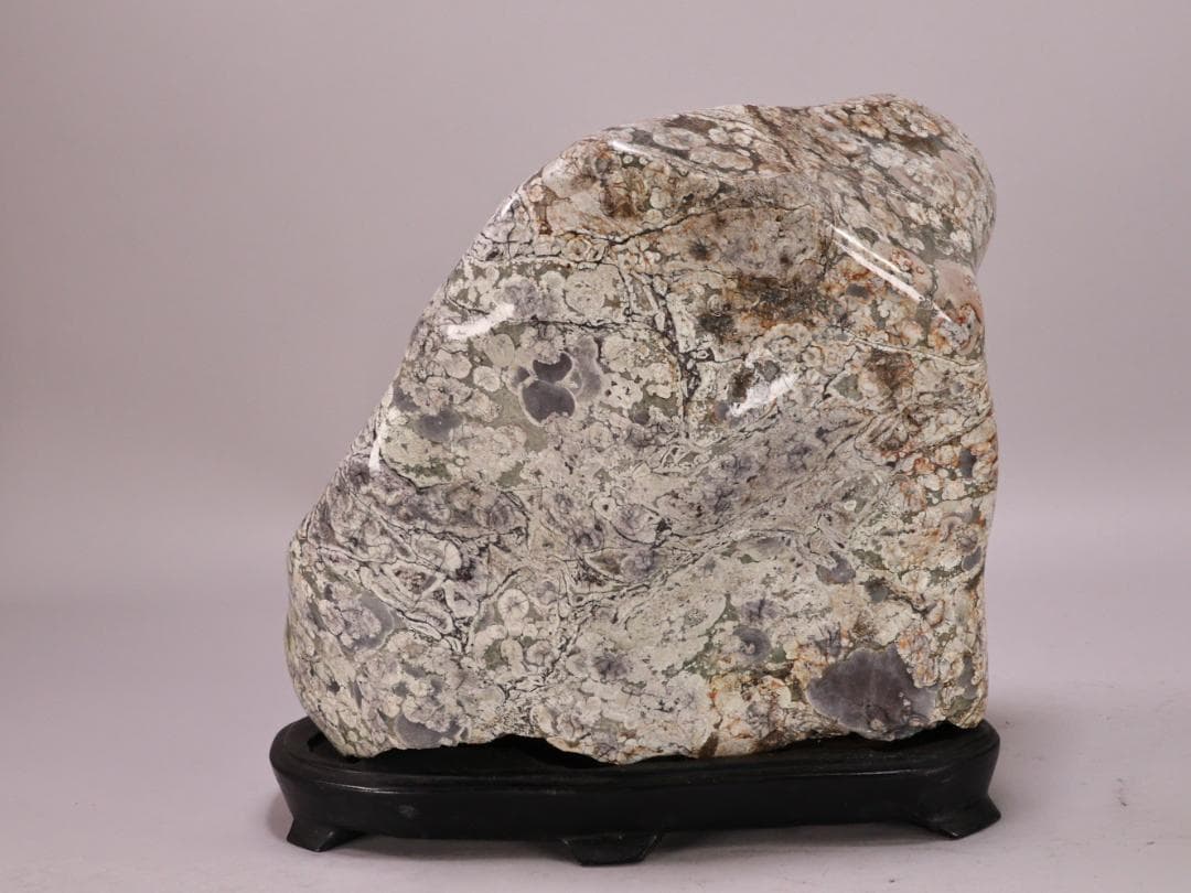 BK216 天然石　鑑賞石　梅花石　花紋石 菊花石 原石 自然石 鉱物 置物