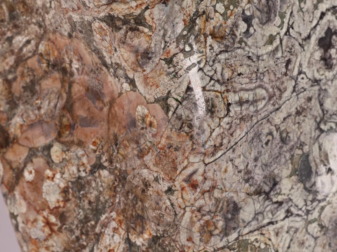 BK216 天然石　鑑賞石　梅花石　花紋石 菊花石 原石 自然石 鉱物 置物