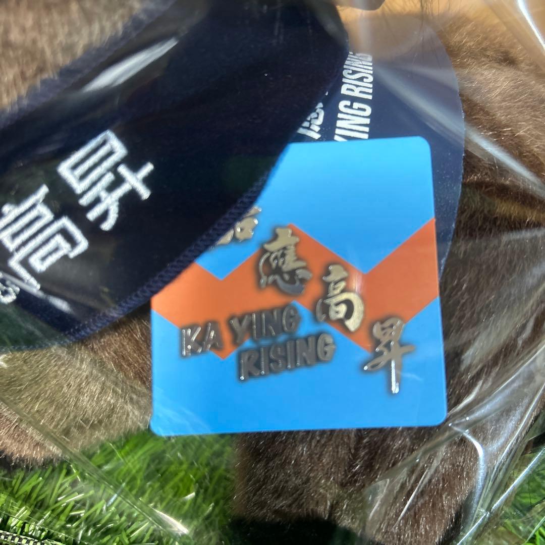 カーイライジング　 Sサイズ　 香港競馬 ぬいぐるみ