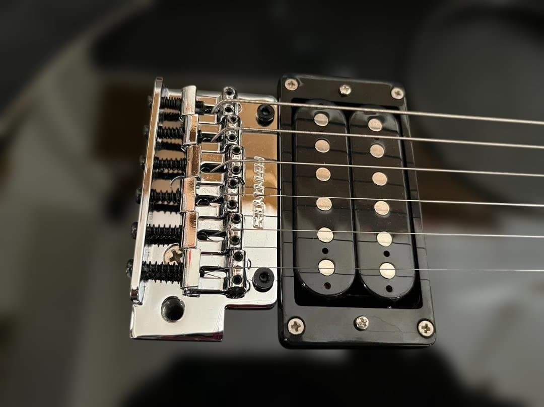 FERNANDES ZO-3 芸達者 ブラック(BLK)