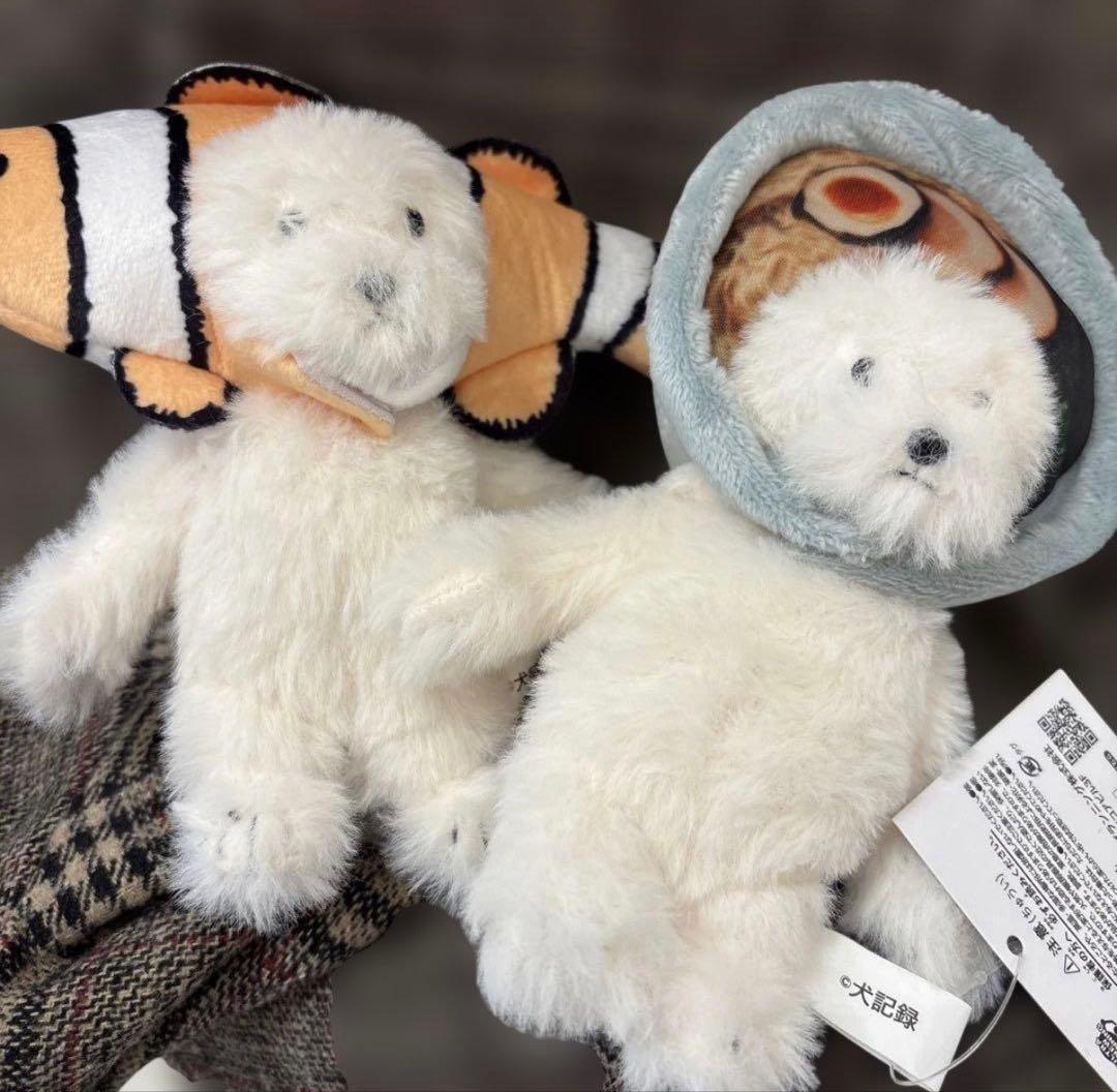 犬記録　2個セット