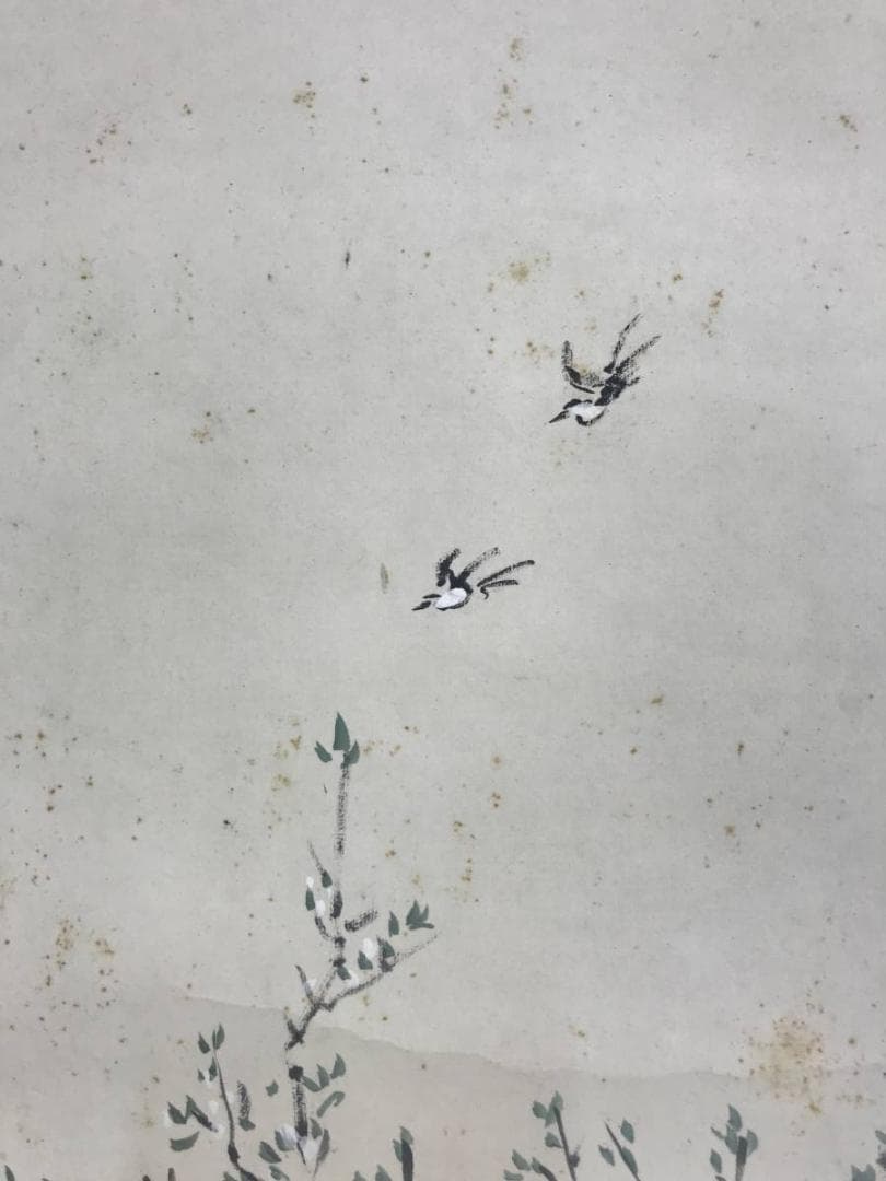 【真作】若狭物外/唐美人春秋図/美人画/掛軸/名家伝来/AD-657