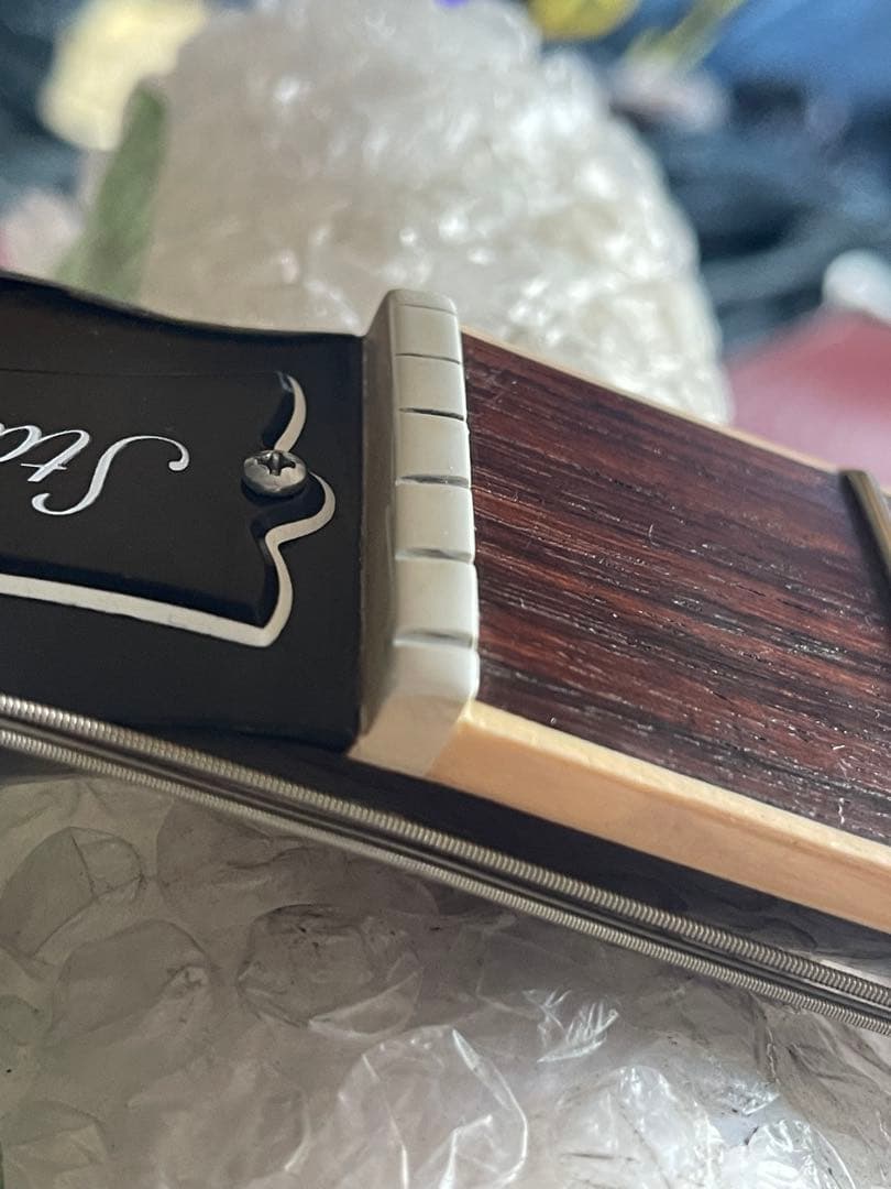 R*o様 GIBSON Les Paul standard 2017T