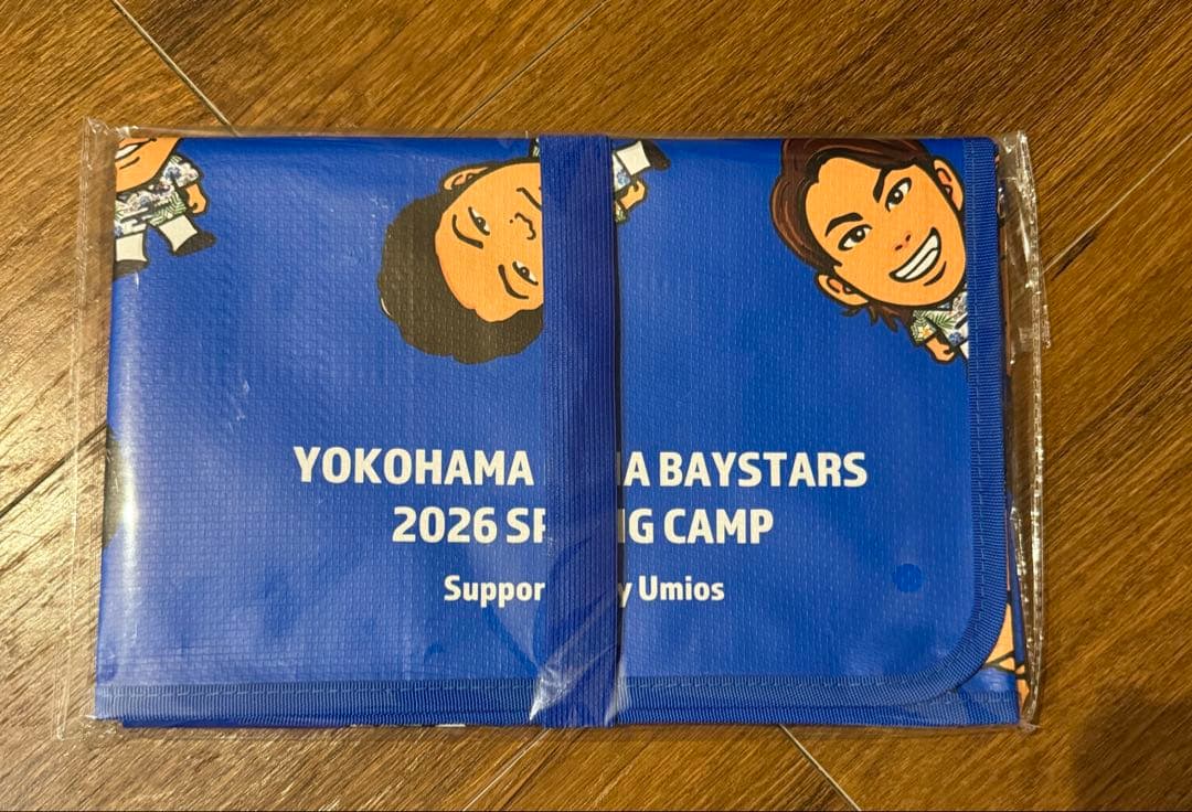 レジャーシート付き 横浜ベイスターズ 2026宜野湾 キャンプ キャップ セット