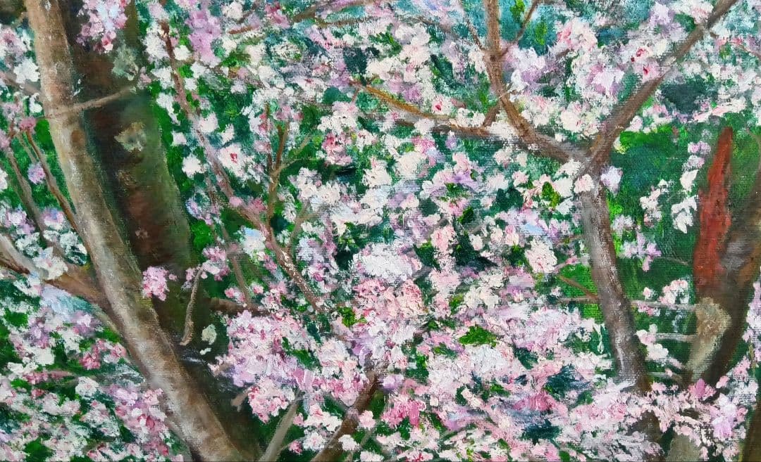 油絵 風景画 桜 花 P10【3月】開花時期
