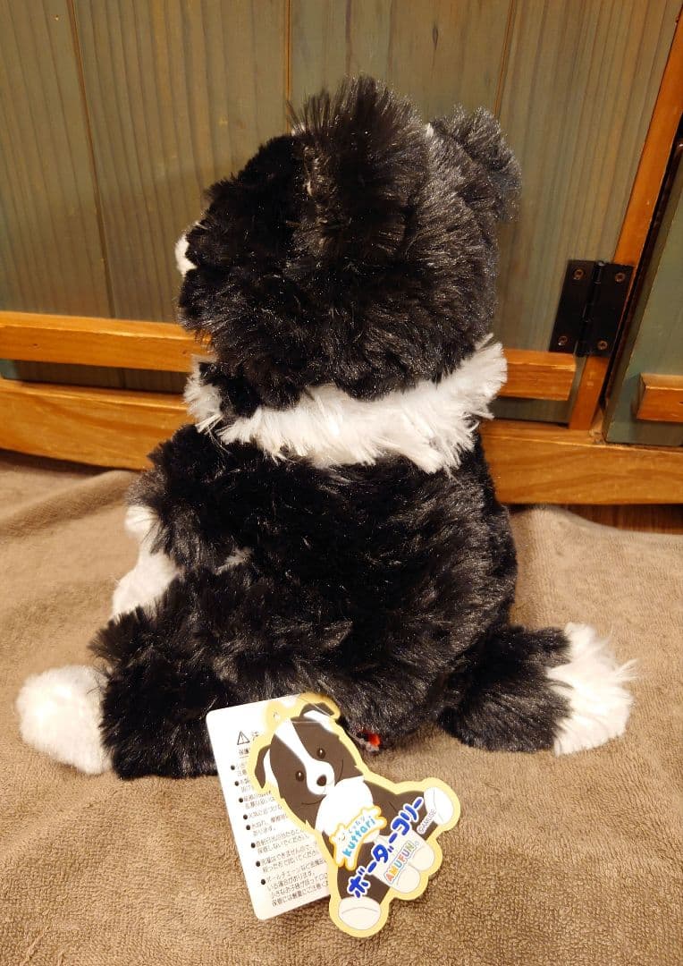 くったりボーダーコリー  ネロ  JB