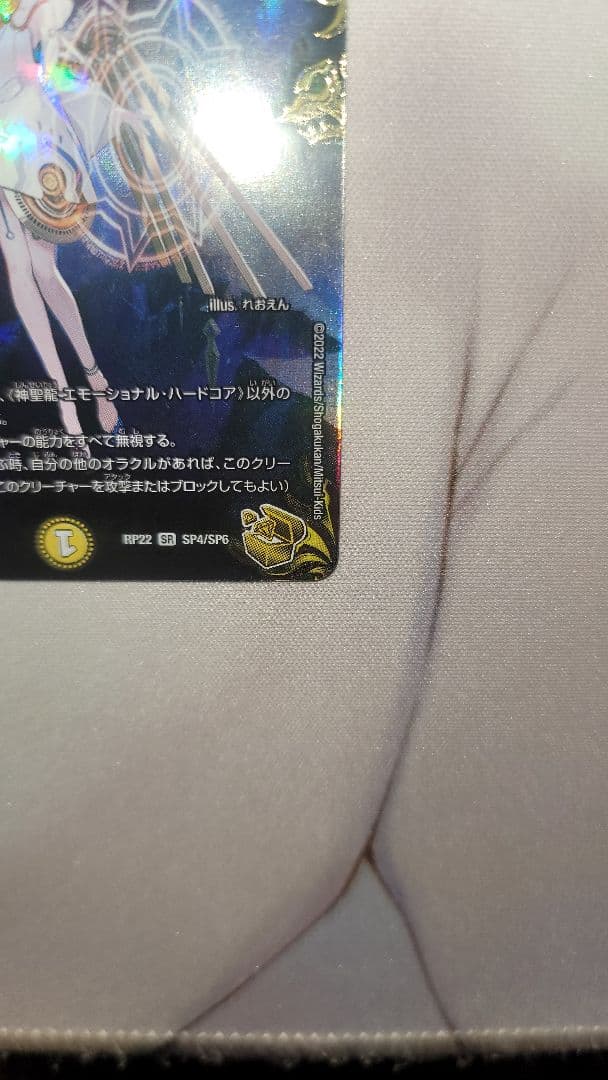 神聖龍 エモーショナル・ハードコア