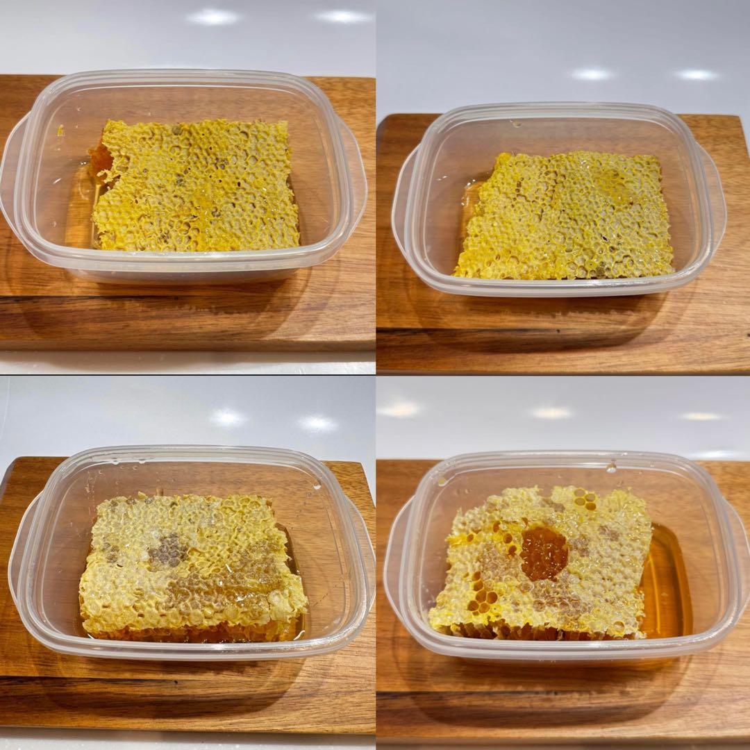 高知県産　生はちみつ　巣蜜　非加熱　百花蜜　日本蜜蜂　ニホンミツバチ　コムハニー