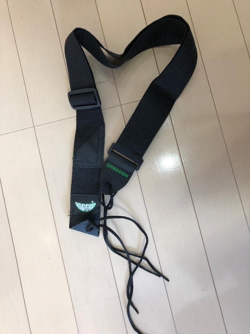 GReeeeN（naviモデル）限定ギター