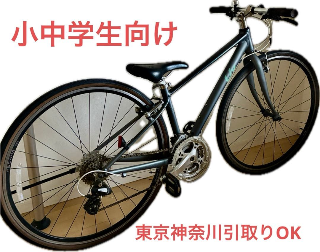 GIANTESCAPE R3WLiv2019XXSレディース小柄向けマットグレー