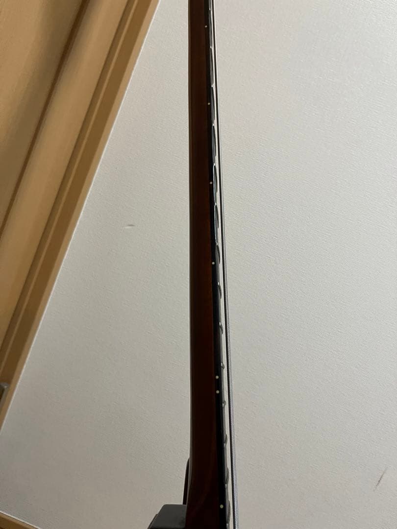 Epiphone Thunderbird 4弦エレキベース