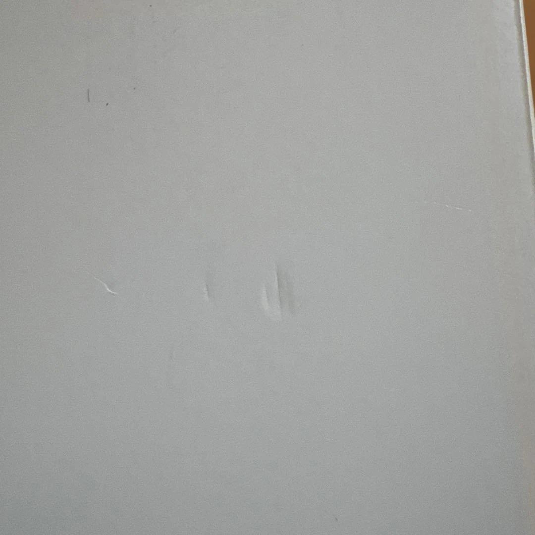 Girls Don't Cry × Steiff Teddy Bear