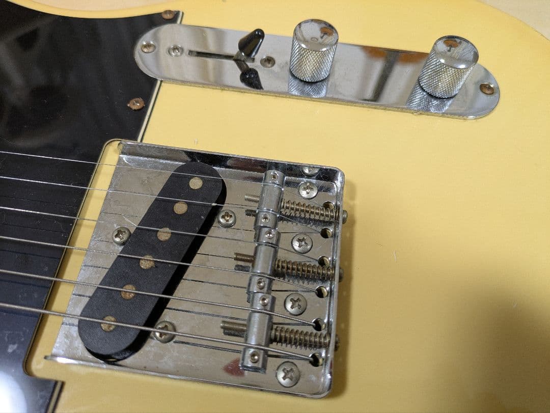 Bacchus テレキャスター　ジャンク