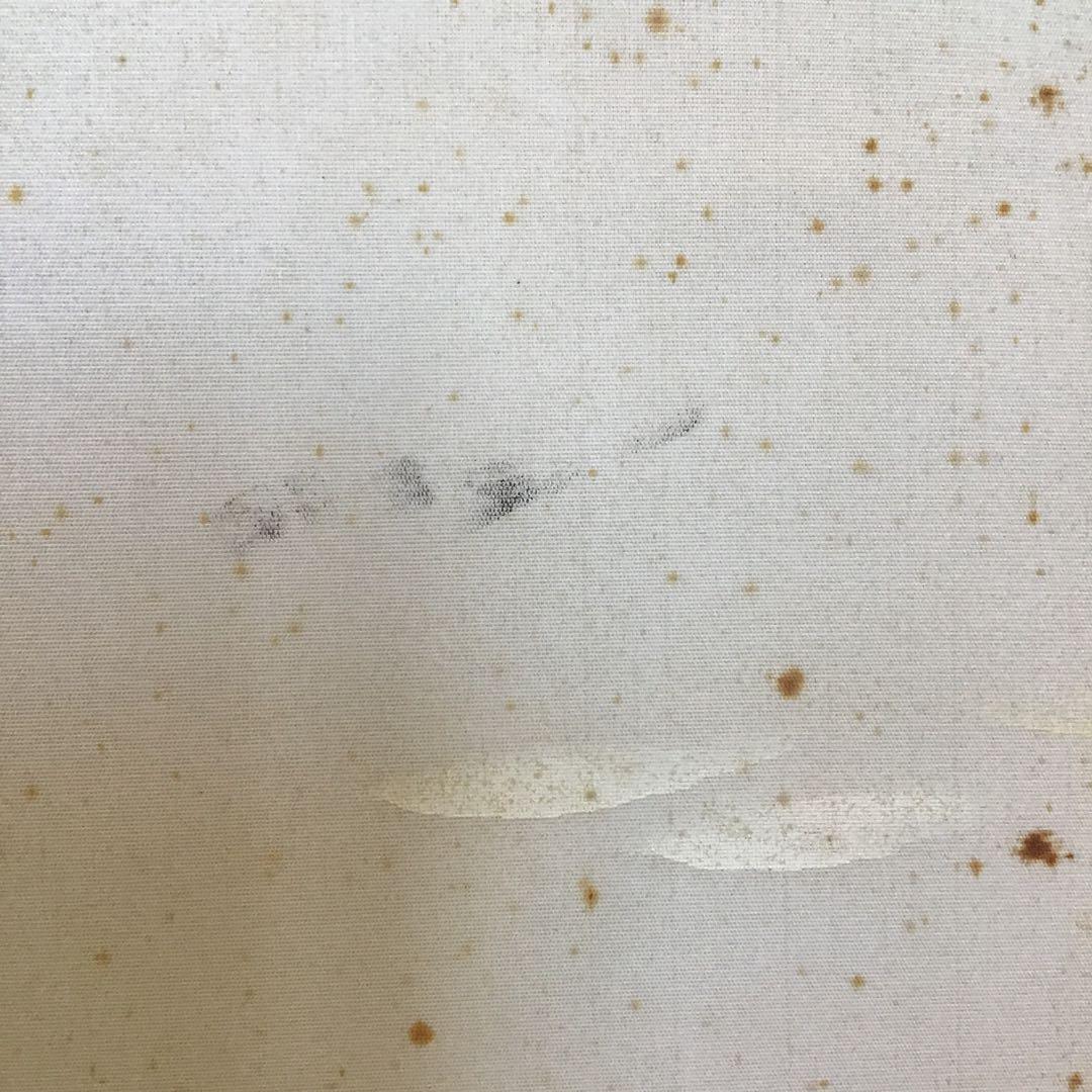 絵画　日本画　「富士山の図」　春水作　配送用箱　S5JFE