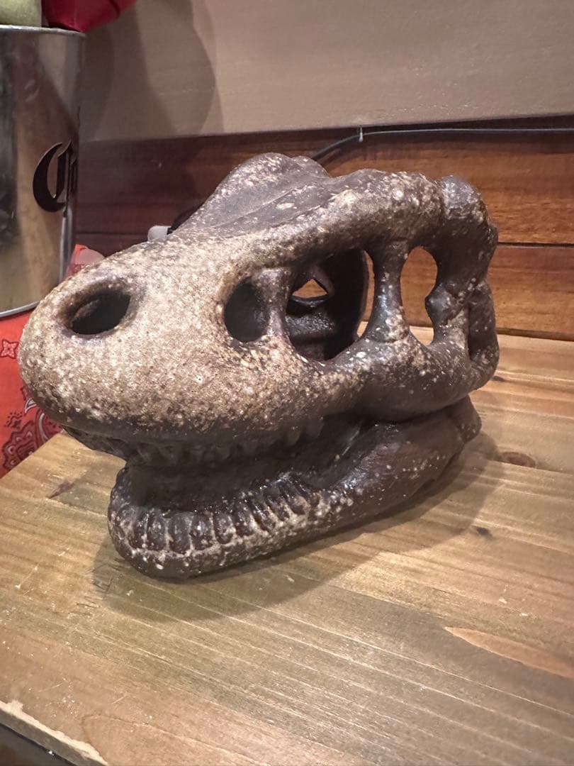 信楽焼　恐竜頭インテリア