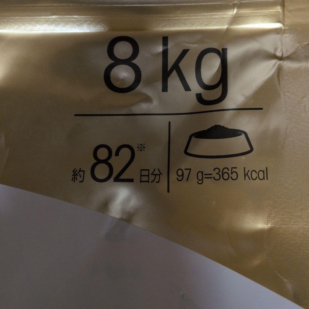  CANIN 柴犬ドッグフード 8kg