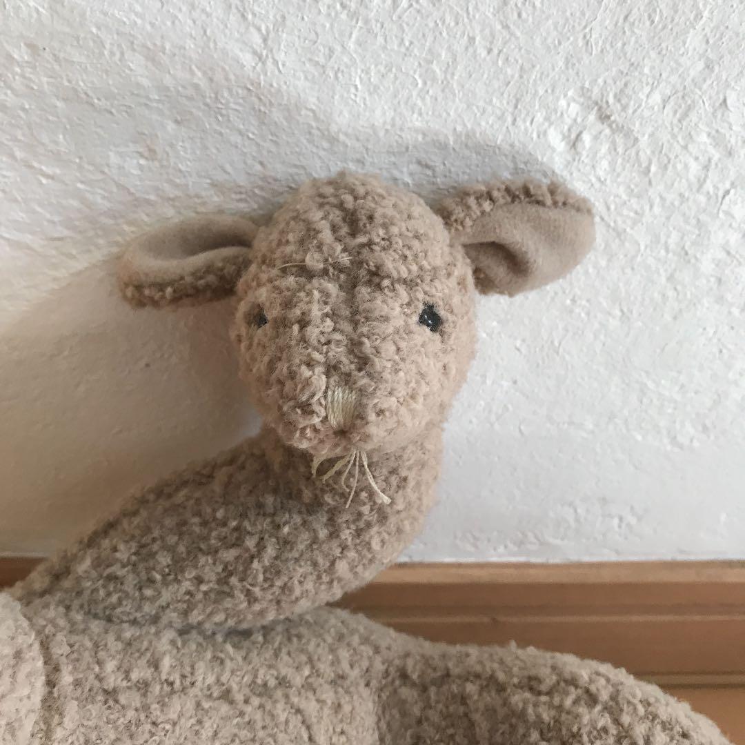 フィリップスタルク テディベア STARCK TEDDY BEAR BAND