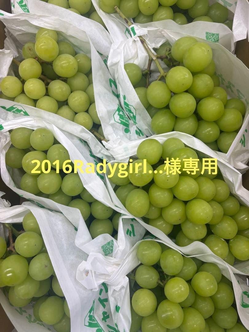 2016Radygirl...クール便シャインマスカット5k✖︎２ケース