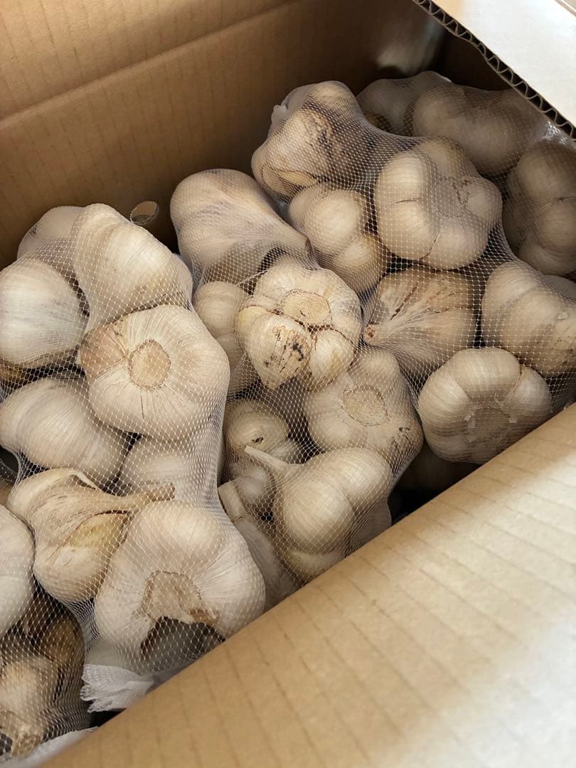 新物　青森県にんにく10Kg 2L早い者勝ち