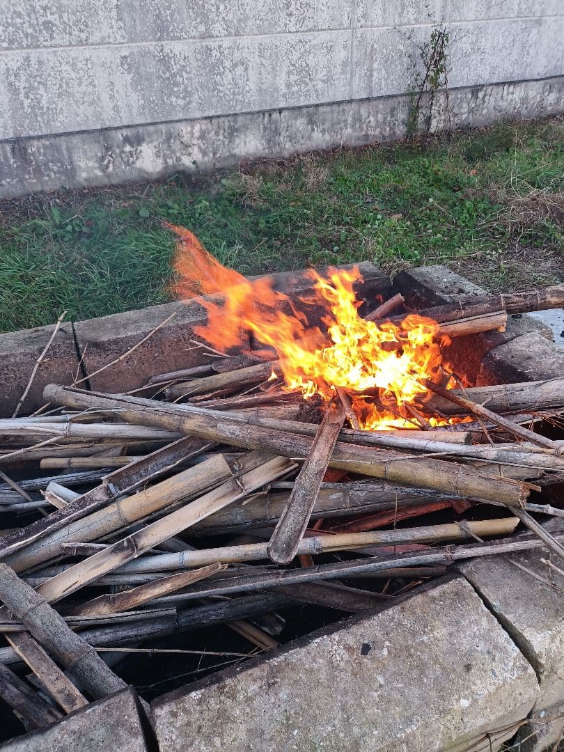 令和7年新米きぬむすめレンゲ米10キロ