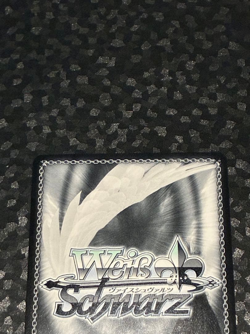 未来へ一緒に　獅白ぼたん　SSP