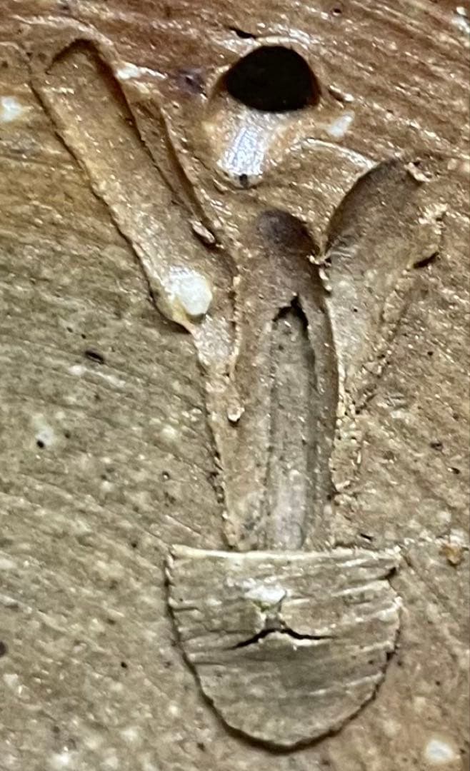 人間国宝　藤原雄　備前花入　耳付花入　備前焼　共箱　共布　栞　P5