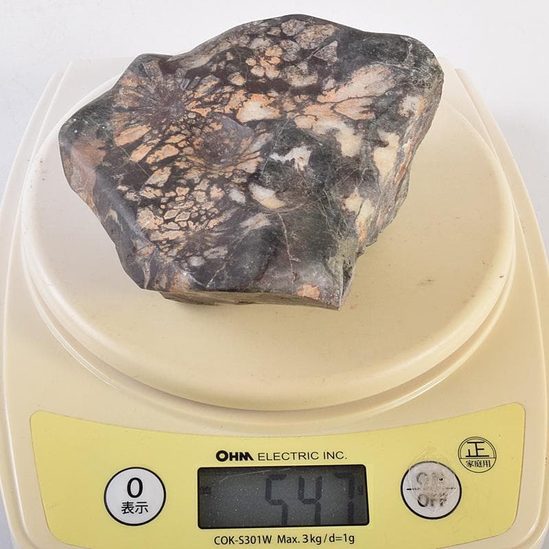 天然石　鑑賞石　菊花石　置物　重さ約547g　唐木台付　C　R8838