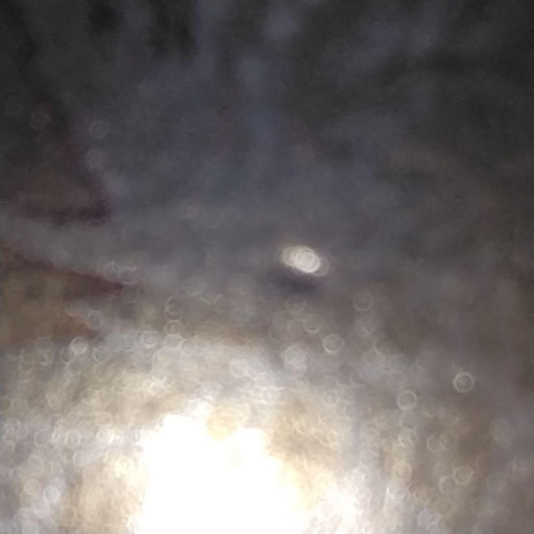 遊戯王　ブラックローズドラゴン　　英語　ゴースト　ホロ　csoc