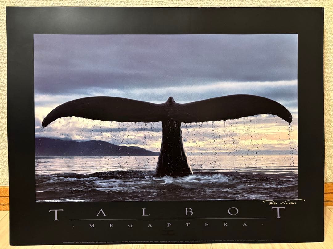 Bob Talbot 80s vintage poster Megaptera