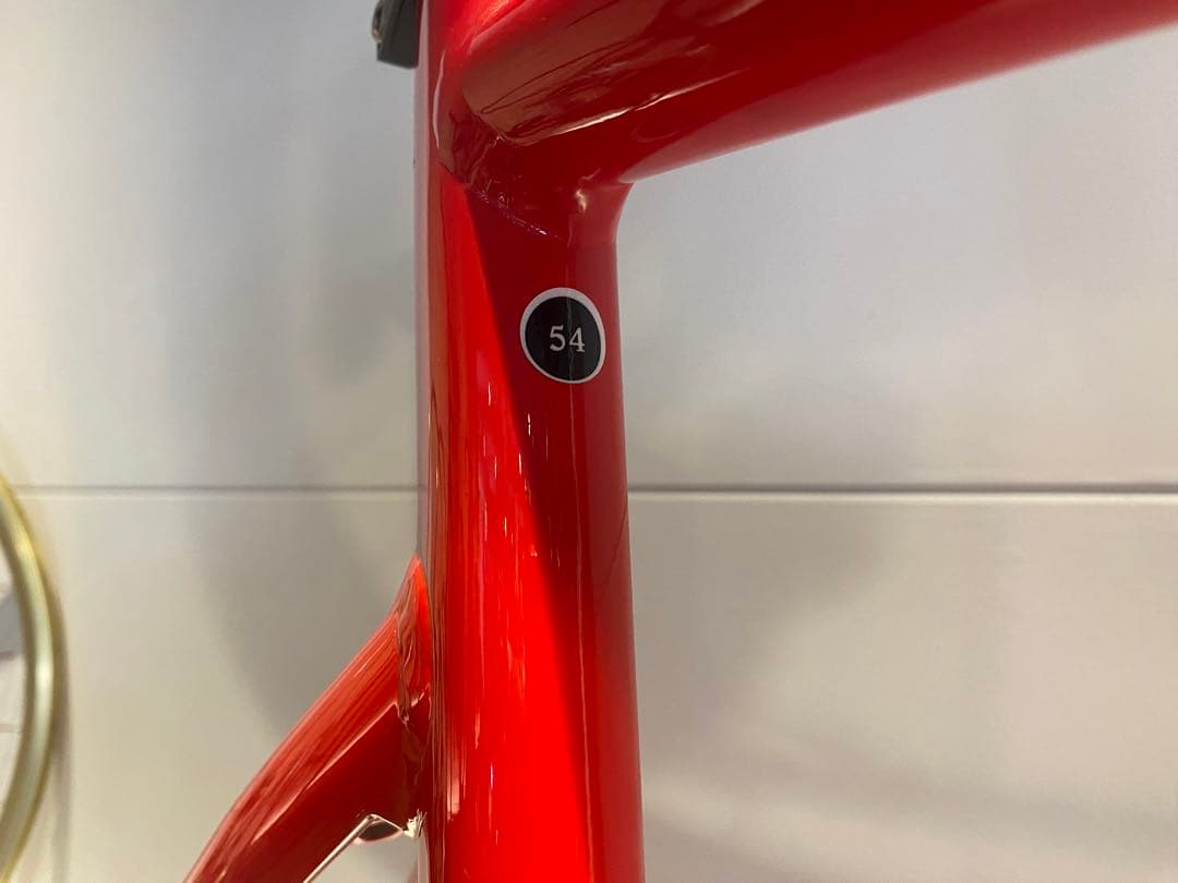 新品 Cinelli チネリ VIGORELLI SHARK　Mサイズ