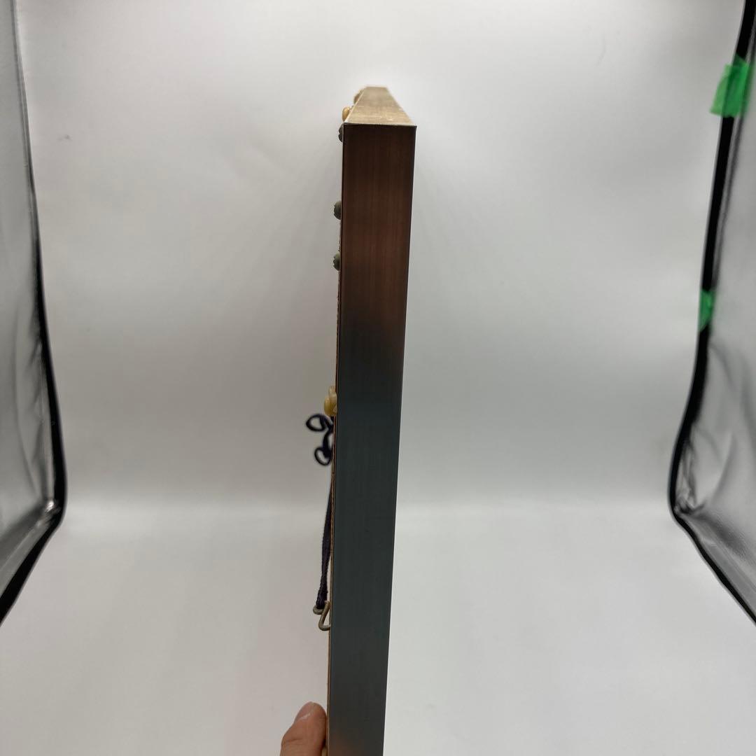 【レア】　モルフォ蝶　標本　アート 美術　芸術　昆虫　チョウ