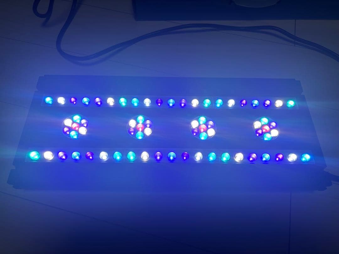 SPECTRA SP200(ブラック)