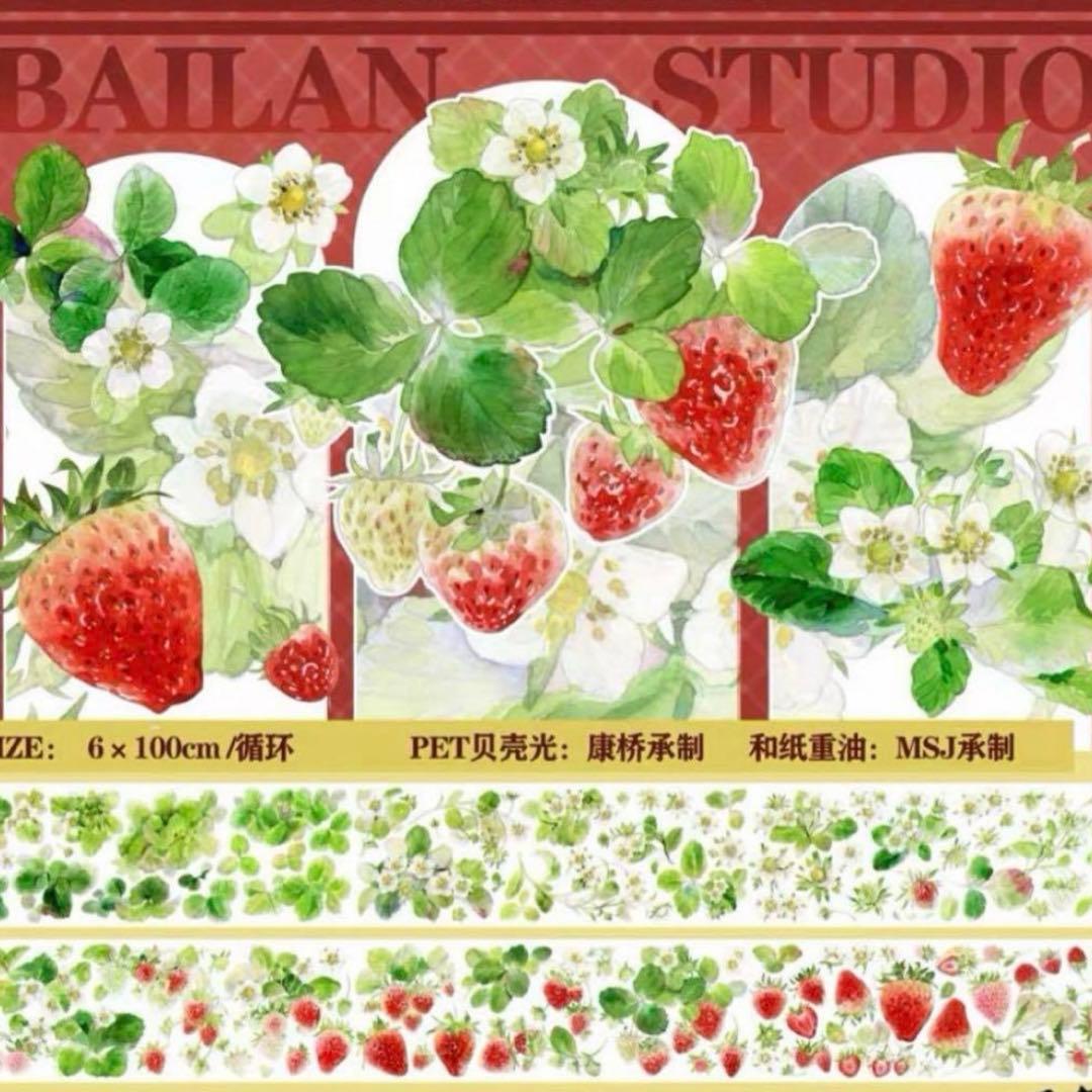 セール103 海外 PETテープ マスキングテープ