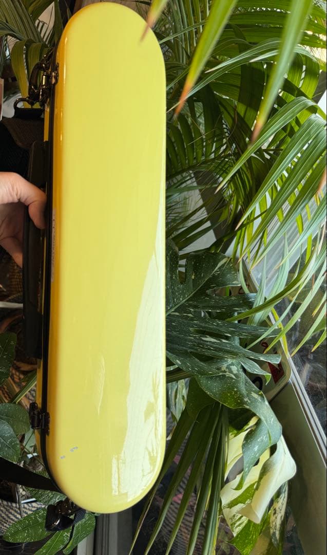 フルート用　CCシャイニーケースⅡ 現行品　イーストマン　パステルイエロー