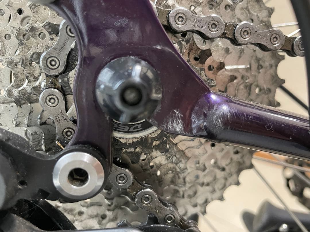 【ガニ】ラレー　Raleigh RFF-N 【現地引渡し希望】