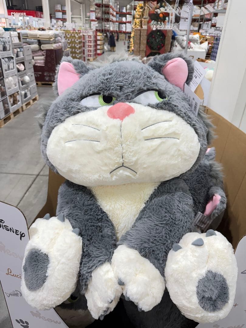 ルシファー　80㎝ぬいぐるみ ブランケット付き